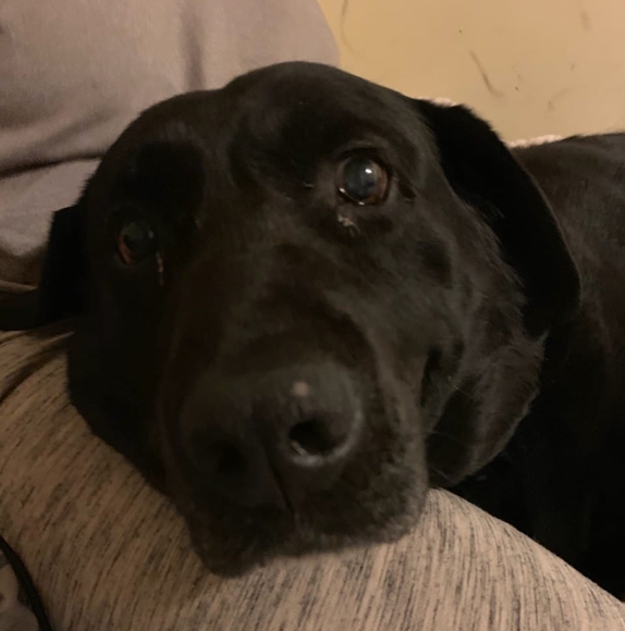 pwwneel
